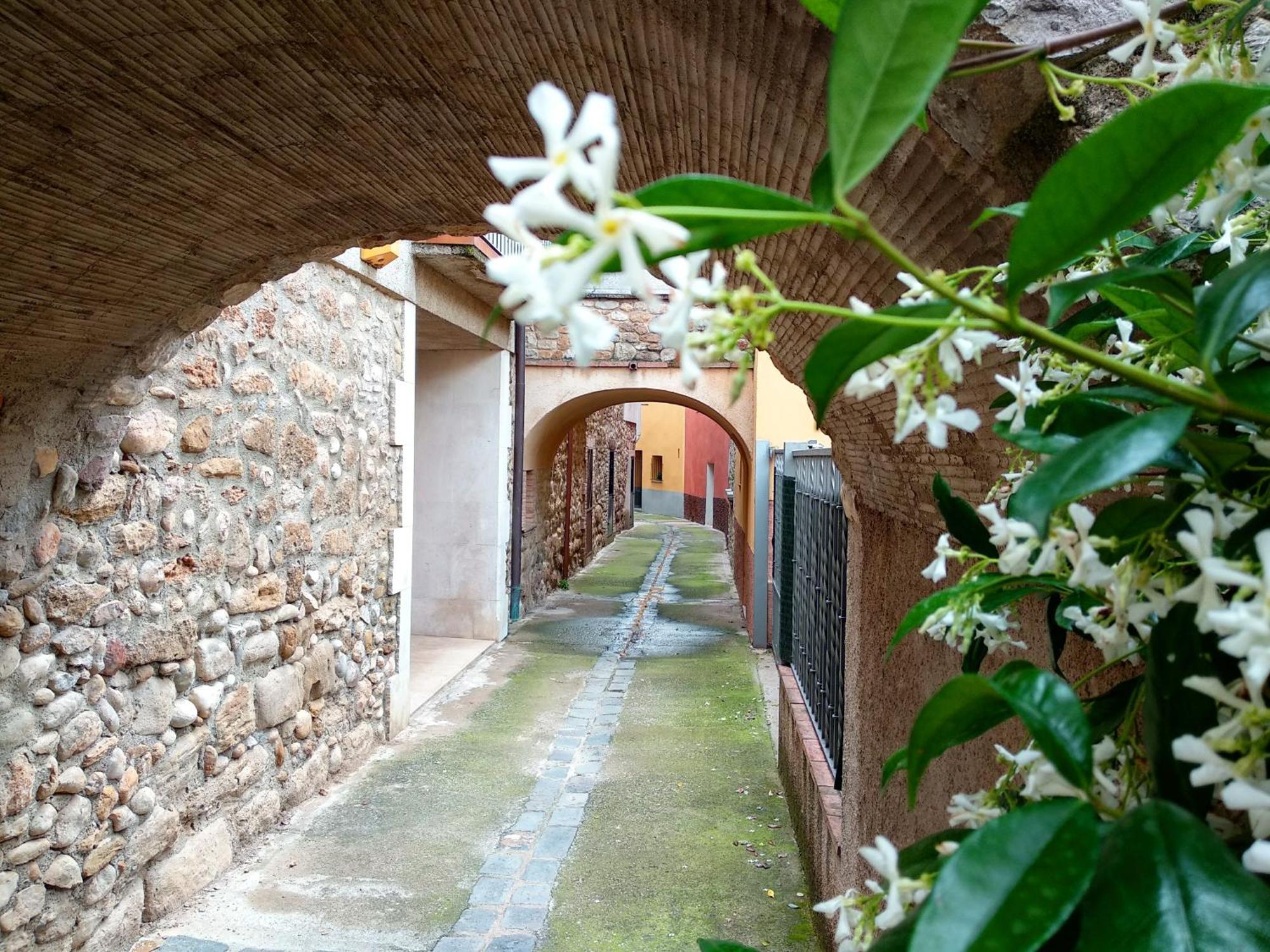 Can Girmas Casa De Turisme Rural Navata Exterior photo
